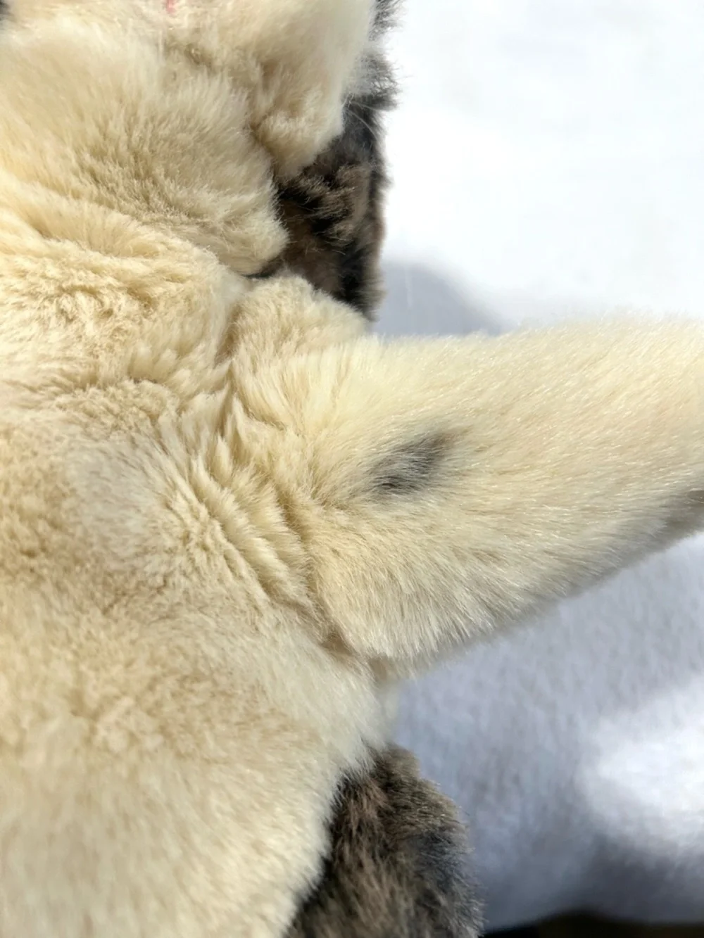 4/$20 Folkmanis Baby Dutch Rabbit Bunny Hand Puppet - Picture 8 of 14
